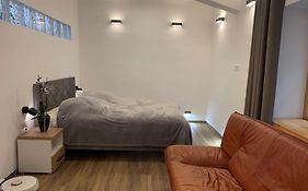 Art Apartment City Center Lj